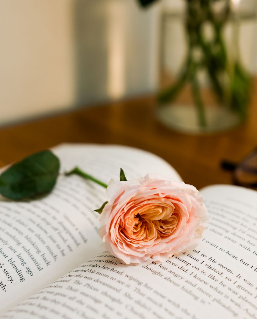A delicate pink rose rests on an open book, symbolizing romance and relaxation.